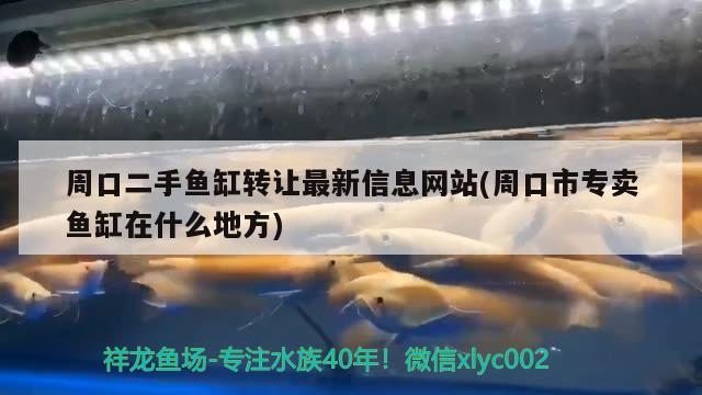 周口二手魚(yú)缸轉(zhuǎn)讓最新信息網(wǎng)站(周口市專賣(mài)魚(yú)缸在什么地方)