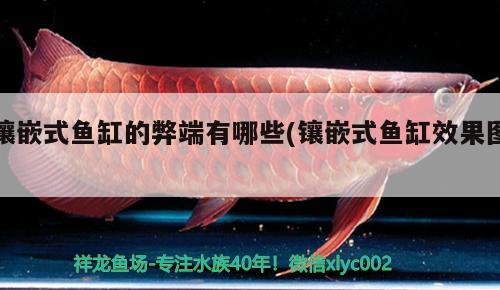 鑲嵌式魚缸的弊端有哪些(鑲嵌式魚缸效果圖) 黃金貓魚