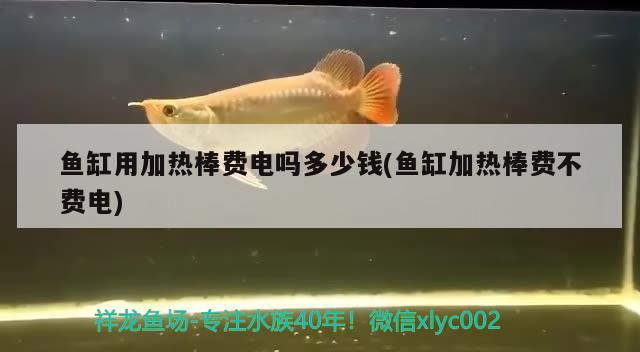 魚缸用加熱棒費電嗎多少錢(魚缸加熱棒費不費電)