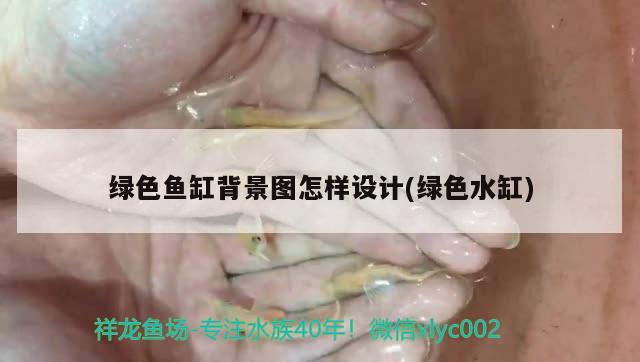 綠色魚缸背景圖怎樣設計(綠色水缸)