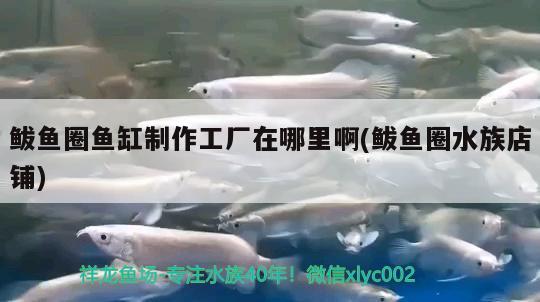 鲅魚圈魚缸制作工廠在哪里啊(鲅魚圈水族店鋪) 粗線銀版魚