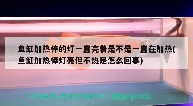 魚缸加熱棒的燈一直亮著是不是一直在加熱(魚缸加熱棒燈亮但不熱是怎么回事)