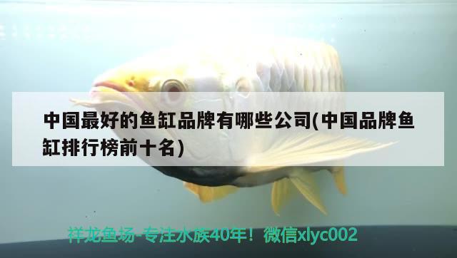 中國最好的魚缸品牌有哪些公司(中國品牌魚缸排行榜前十名)