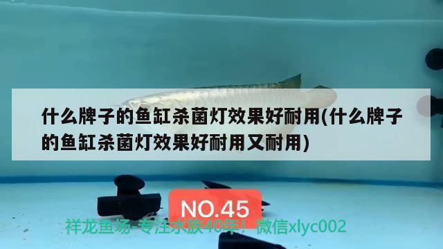 什么牌子的魚(yú)缸殺菌燈效果好耐用(什么牌子的魚(yú)缸殺菌燈效果好耐用又耐用)