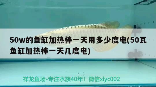 50w的魚缸加熱棒一天用多少度電(50瓦魚缸加熱棒一天幾度電)