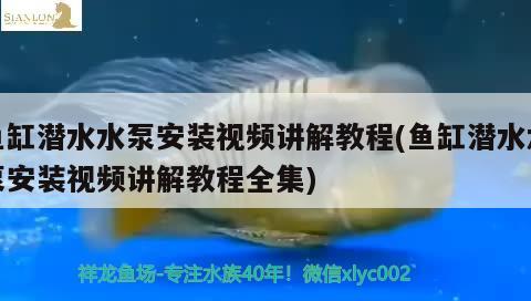 魚缸潛水水泵安裝視頻講解教程(魚缸潛水水泵安裝視頻講解教程全集)