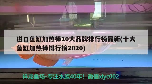 進口魚缸加熱棒10大品牌排行榜最新(十大魚缸加熱棒排行榜2020) 祥禾Super Red紅龍魚