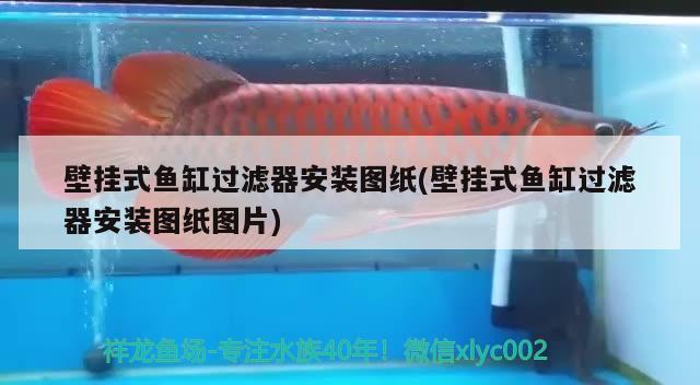 壁掛式魚缸過(guò)濾器安裝圖紙(壁掛式魚缸過(guò)濾器安裝圖紙圖片)