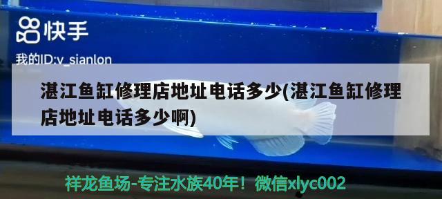 湛江魚缸修理店地址電話多少(湛江魚缸修理店地址電話多少啊)