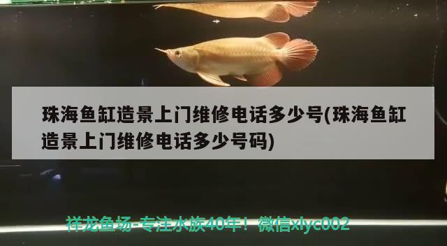 珠海魚(yú)缸造景上門(mén)維修電話多少號(hào)(珠海魚(yú)缸造景上門(mén)維修電話多少號(hào)碼) 彩鰈魚(yú)缸（彩蝶魚(yú)缸）