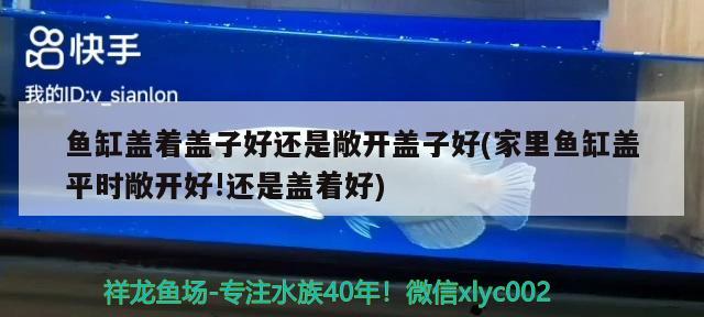 魚缸蓋著蓋子好還是敞開蓋子好(家里魚缸蓋平時敞開好!還是蓋著好)