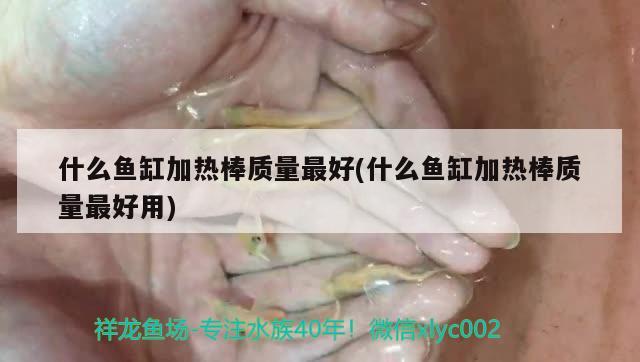 什么魚缸加熱棒質(zhì)量最好(什么魚缸加熱棒質(zhì)量最好用) 慈雕魚