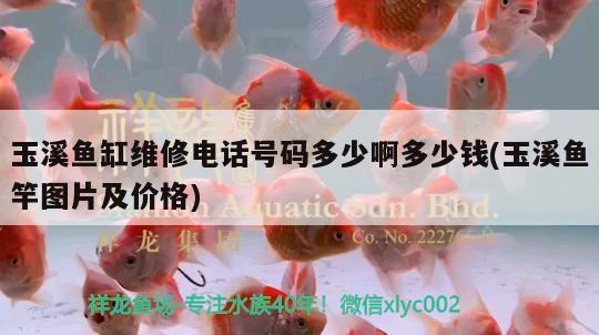 玉溪魚(yú)缸維修電話(huà)號(hào)碼多少啊多少錢(qián)(玉溪魚(yú)竿圖片及價(jià)格) 垂釣樂(lè)園