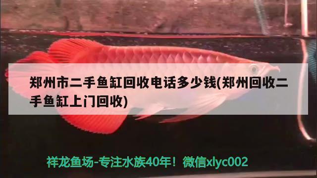 鄭州市二手魚缸回收電話多少錢(鄭州回收二手魚缸上門回收)