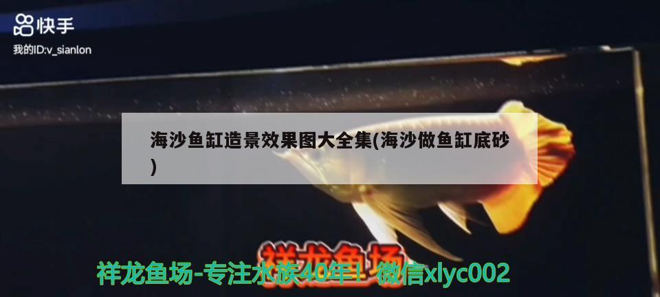 海沙魚(yú)缸造景效果圖大全集(海沙做魚(yú)缸底砂)