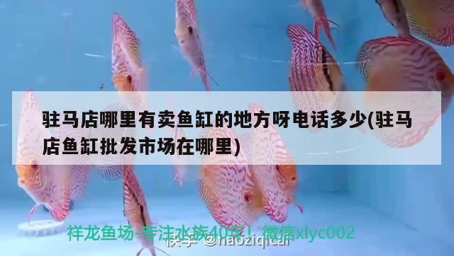 駐馬店哪里有賣魚(yú)缸的地方呀電話多少(駐馬店魚(yú)缸批發(fā)市場(chǎng)在哪里) 造景/裝飾