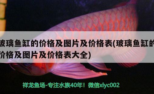 玻璃魚缸的價(jià)格及圖片及價(jià)格表(玻璃魚缸的價(jià)格及圖片及價(jià)格表大全)