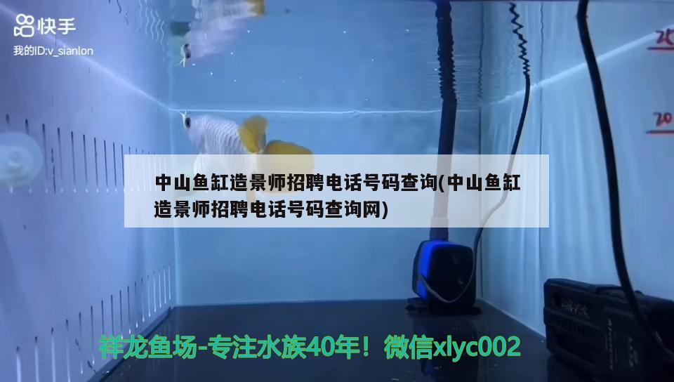 中山魚缸造景師招聘電話號碼查詢(中山魚缸造景師招聘電話號碼查詢網(wǎng))