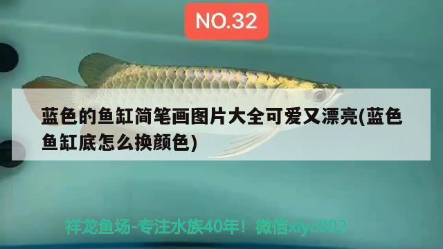 藍(lán)色的魚缸簡筆畫圖片大全可愛又漂亮(藍(lán)色魚缸底怎么換顏色)