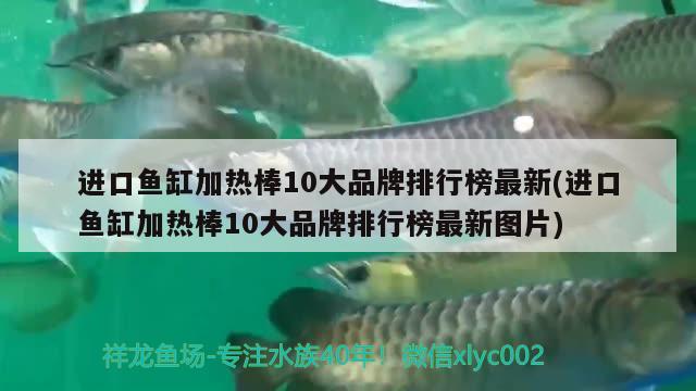 進(jìn)口魚缸加熱棒10大品牌排行榜最新(進(jìn)口魚缸加熱棒10大品牌排行榜最新圖片)