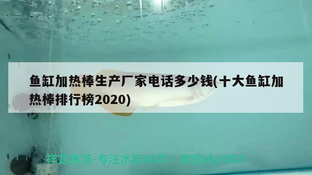 魚缸加熱棒生產(chǎn)廠家電話多少錢(十大魚缸加熱棒排行榜2020) 粗線銀版魚