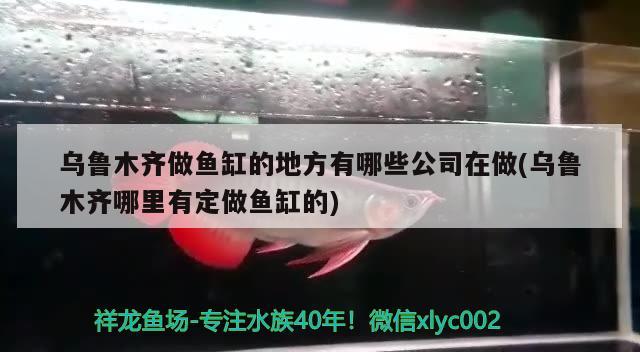 烏魯木齊做魚缸的地方有哪些公司在做(烏魯木齊哪里有定做魚缸的)