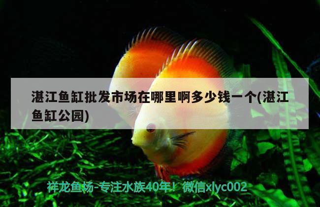 湛江魚缸批發(fā)市場在哪里啊多少錢一個(湛江魚缸公園)