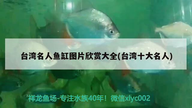 臺(tái)灣名人魚缸圖片欣賞大全(臺(tái)灣十大名人) 祥龍金禾金龍魚