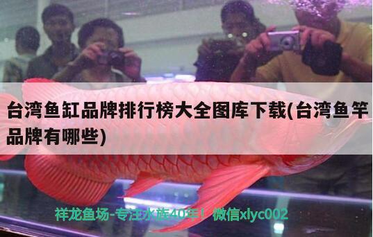 臺灣魚缸品牌排行榜大全圖庫下載(臺灣魚竿品牌有哪些)