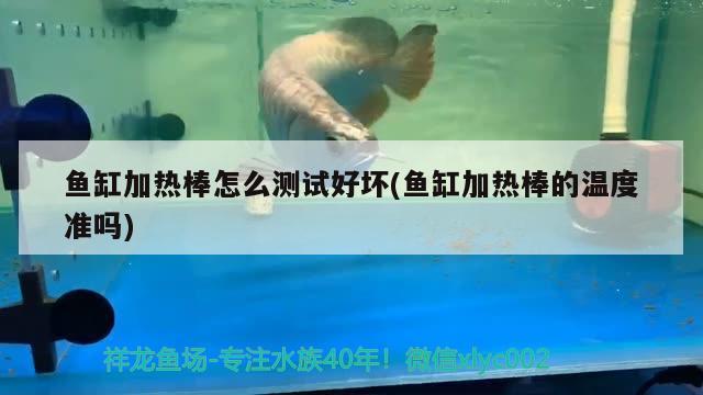 魚缸加熱棒怎么測試好壞(魚缸加熱棒的溫度準(zhǔn)嗎)