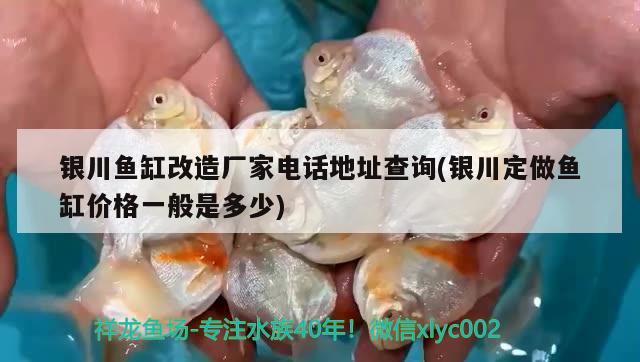 銀川魚缸改造廠家電話地址查詢(銀川定做魚缸價(jià)格一般是多少)