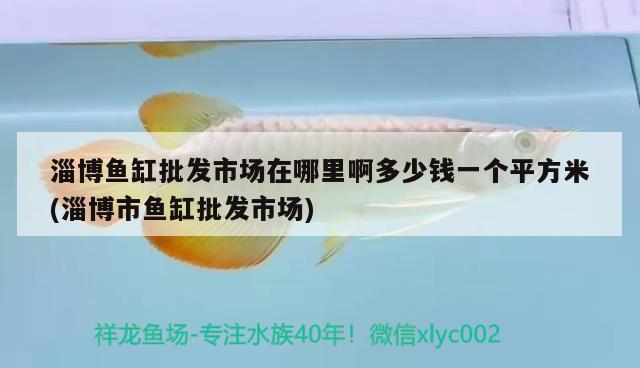 淄博魚缸批發(fā)市場在哪里啊多少錢一個平方米(淄博市魚缸批發(fā)市場)