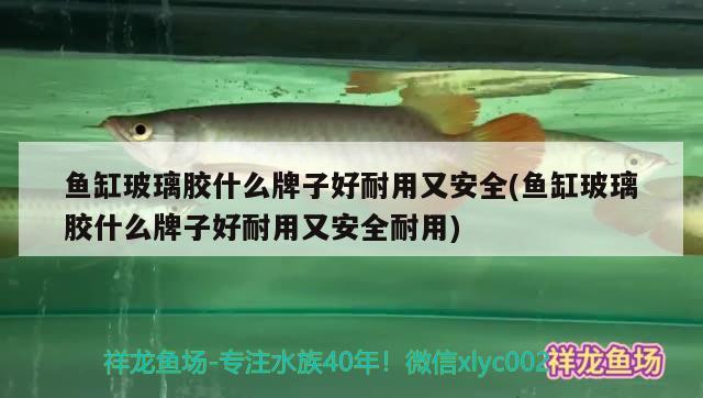 魚缸玻璃膠什么牌子好耐用又安全(魚缸玻璃膠什么牌子好耐用又安全耐用)