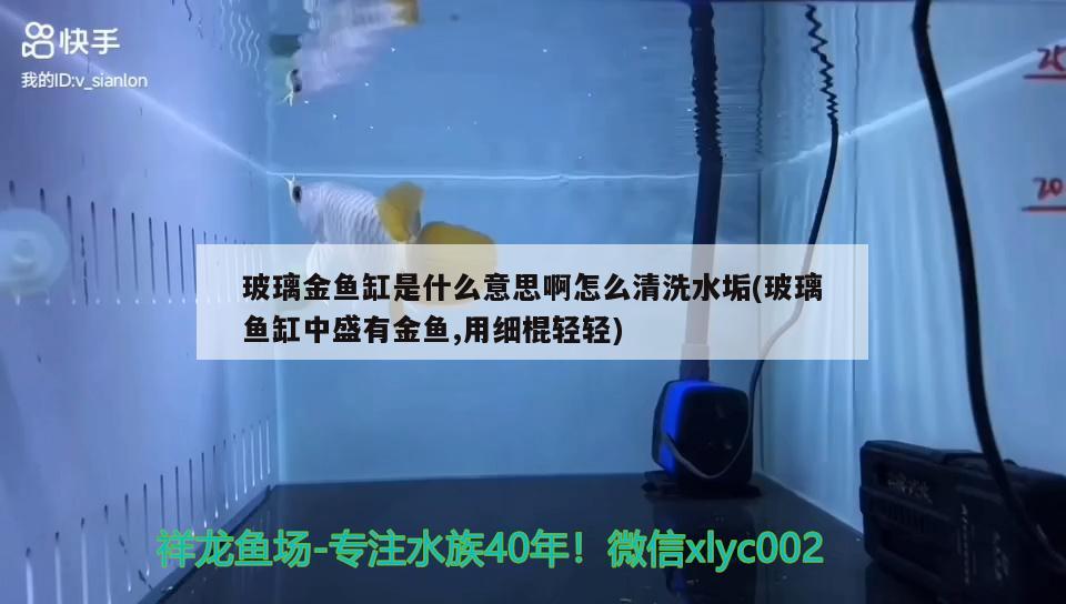 玻璃金魚缸是什么意思啊怎么清洗水垢(玻璃魚缸中盛有金魚,用細(xì)棍輕輕) 二氧化碳設(shè)備