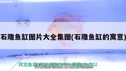 石雕魚缸圖片大全集圖(石雕魚缸的寓意)