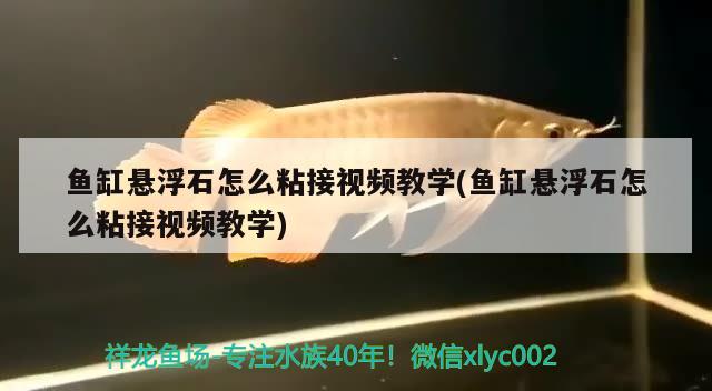 魚缸懸浮石怎么粘接視頻教學(xué)(魚缸懸浮石怎么粘接視頻教學(xué))