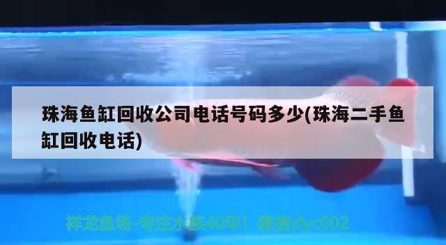 珠海魚缸回收公司電話號(hào)碼多少(珠海二手魚缸回收電話)