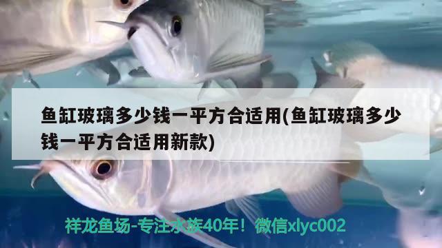 魚缸玻璃多少錢一平方合適用(魚缸玻璃多少錢一平方合適用新款) 招財戰(zhàn)船魚