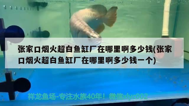 張家口煙火超白魚缸廠在哪里啊多少錢(張家口煙火超白魚缸廠在哪里啊多少錢一個) 小型觀賞魚