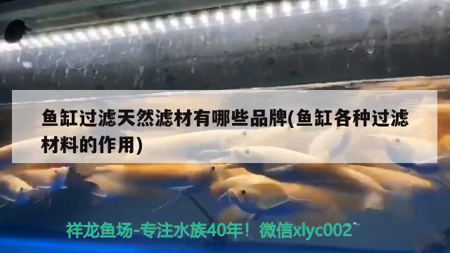 魚(yú)缸過(guò)濾天然濾材有哪些品牌(魚(yú)缸各種過(guò)濾材料的作用)