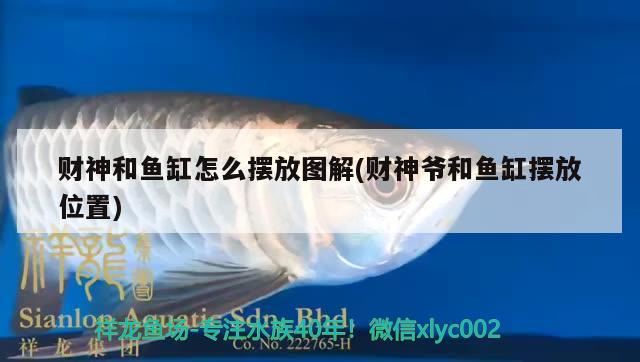 財(cái)神和魚(yú)缸怎么擺放圖解(財(cái)神爺和魚(yú)缸擺放位置) 三間鼠魚(yú)