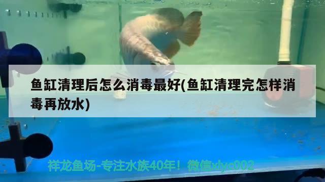 魚缸清理后怎么消毒最好(魚缸清理完怎樣消毒再放水)