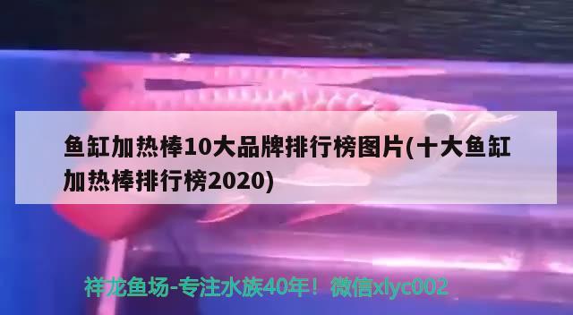 魚缸加熱棒10大品牌排行榜圖片(十大魚缸加熱棒排行榜2020) 福滿鉆魚