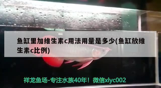 魚缸里加維生素c用法用量是多少(魚缸放維生素c比例)