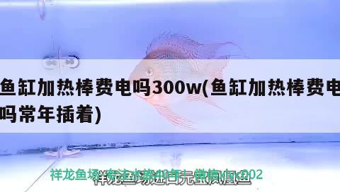 魚(yú)缸加熱棒費(fèi)電嗎300w(魚(yú)缸加熱棒費(fèi)電嗎常年插著)