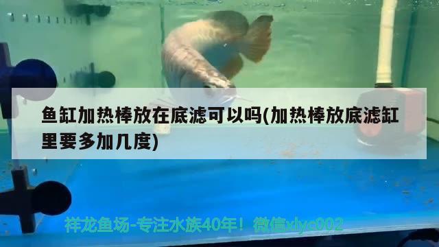 魚缸加熱棒放在底濾可以嗎(加熱棒放底濾缸里要多加幾度)