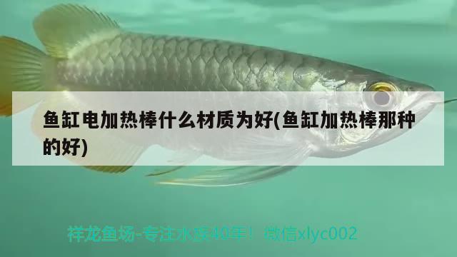 魚缸電加熱棒什么材質(zhì)為好(魚缸加熱棒那種的好) 大嘴鯨魚