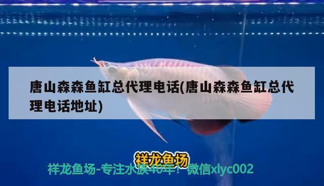 唐山森森魚(yú)缸總代理電話(huà)(唐山森森魚(yú)缸總代理電話(huà)地址)