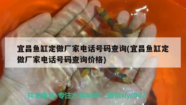 宜昌魚缸定做廠家電話號碼查詢(宜昌魚缸定做廠家電話號碼查詢價格)