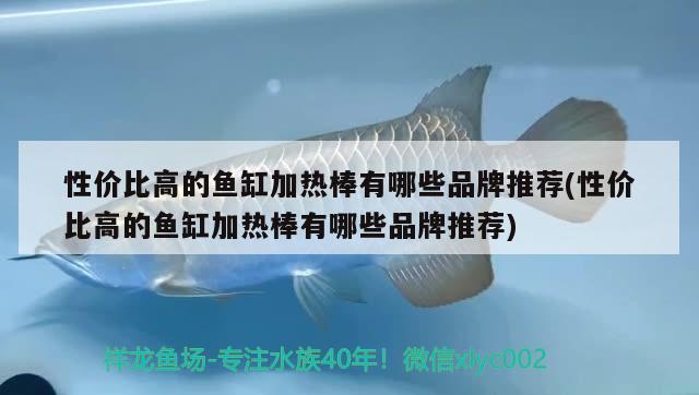 性價比高的魚缸加熱棒有哪些品牌推薦(性價比高的魚缸加熱棒有哪些品牌推薦) 彩鰈魚缸（彩蝶魚缸）